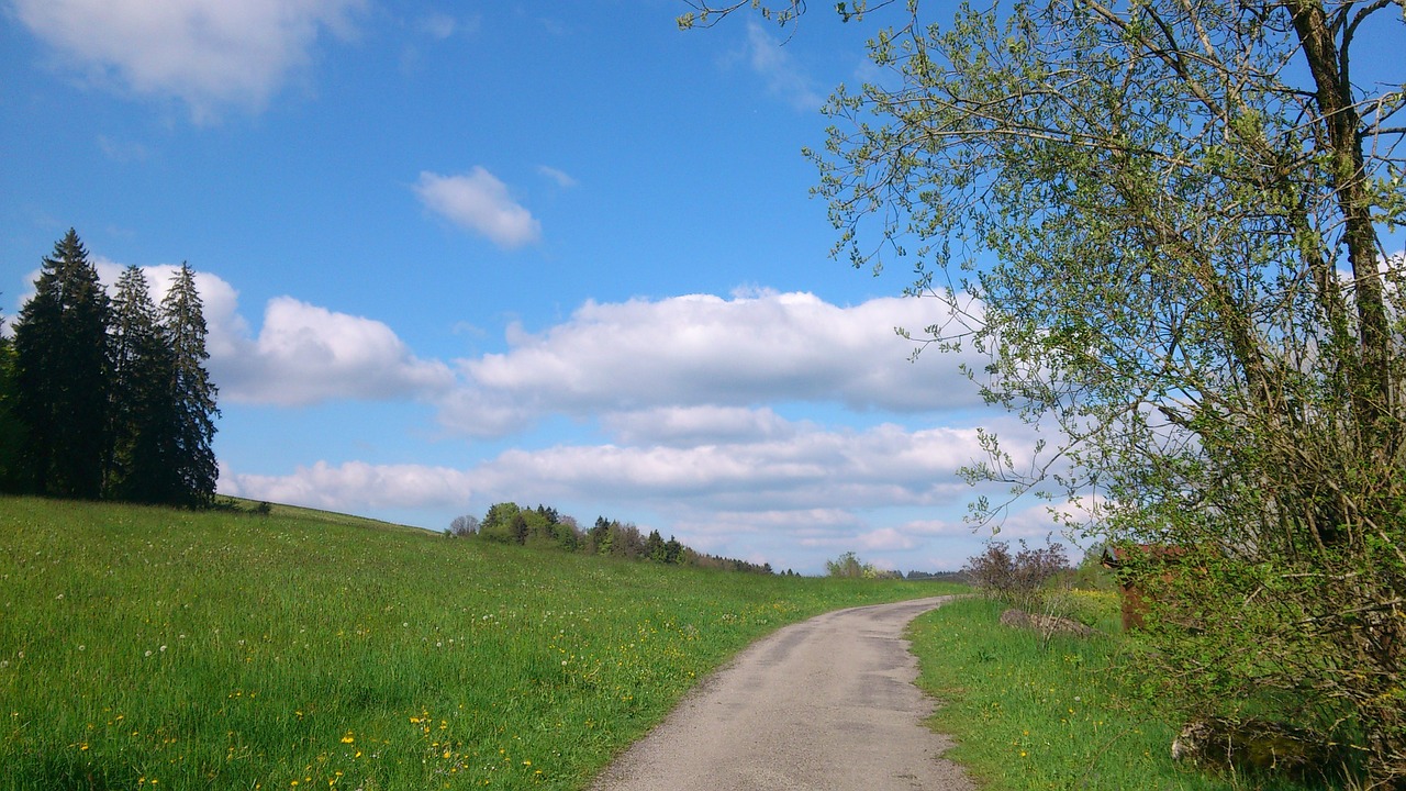 nature landscape hiking free photo