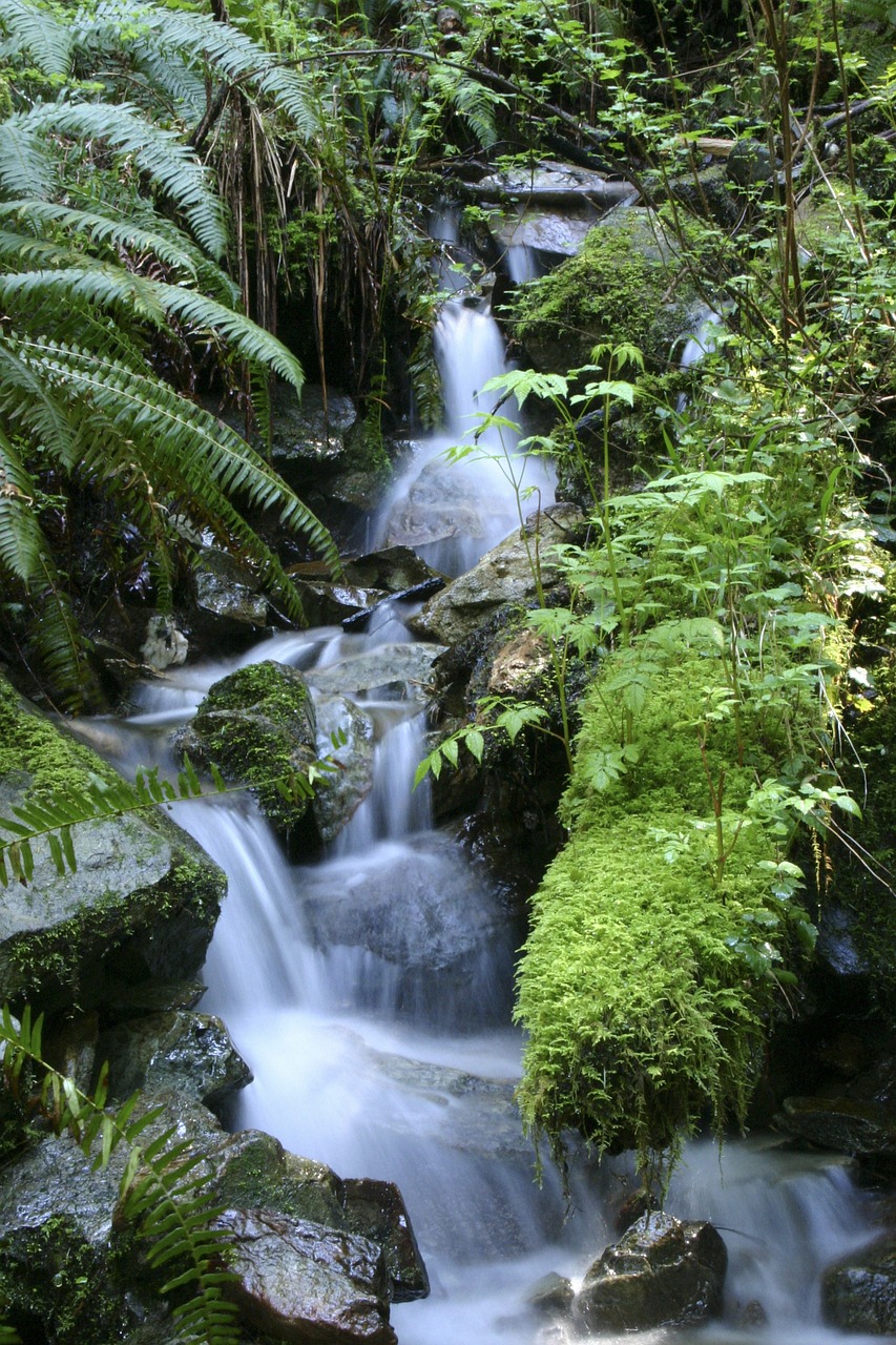 nature waterfall outdoor free photo