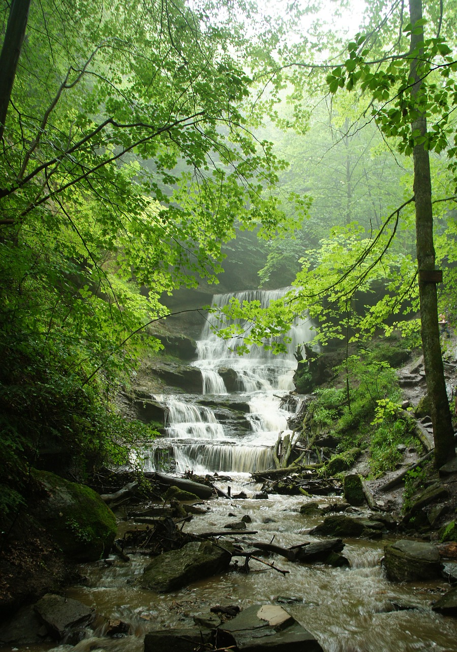 nature waterfall landscape free photo