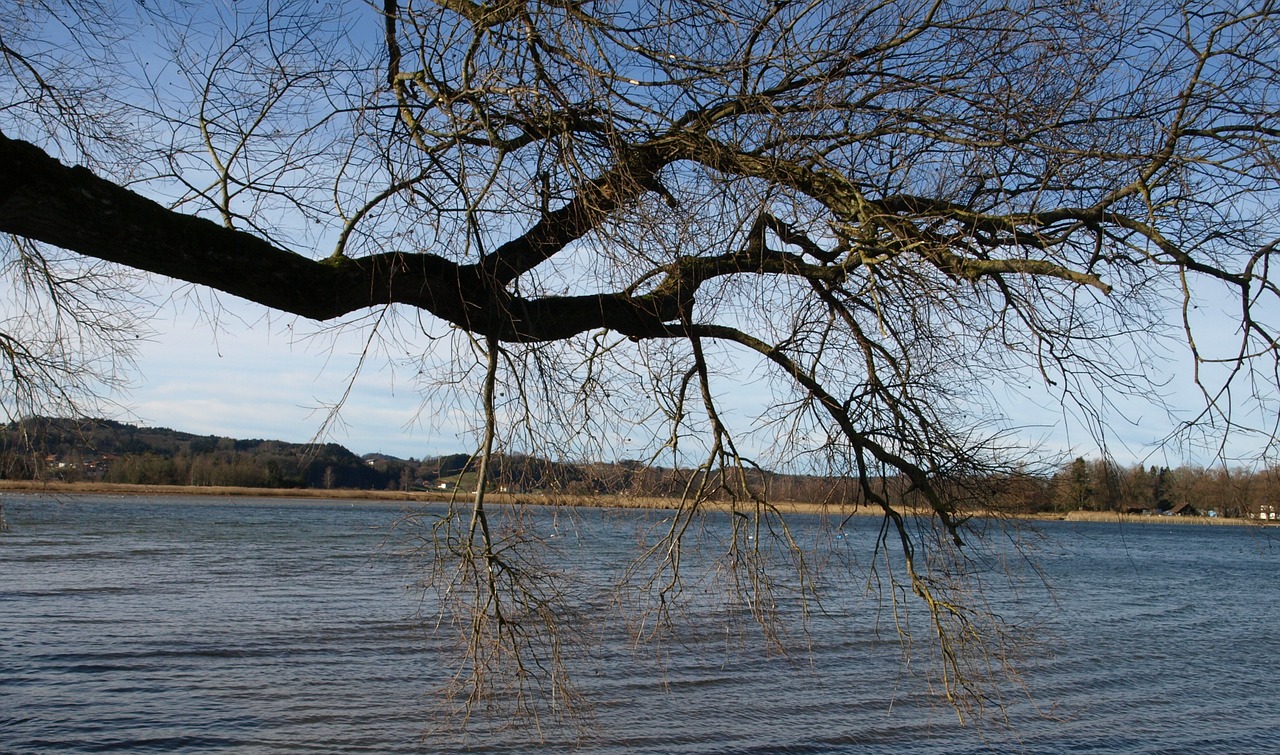 nature chiemsee water free photo