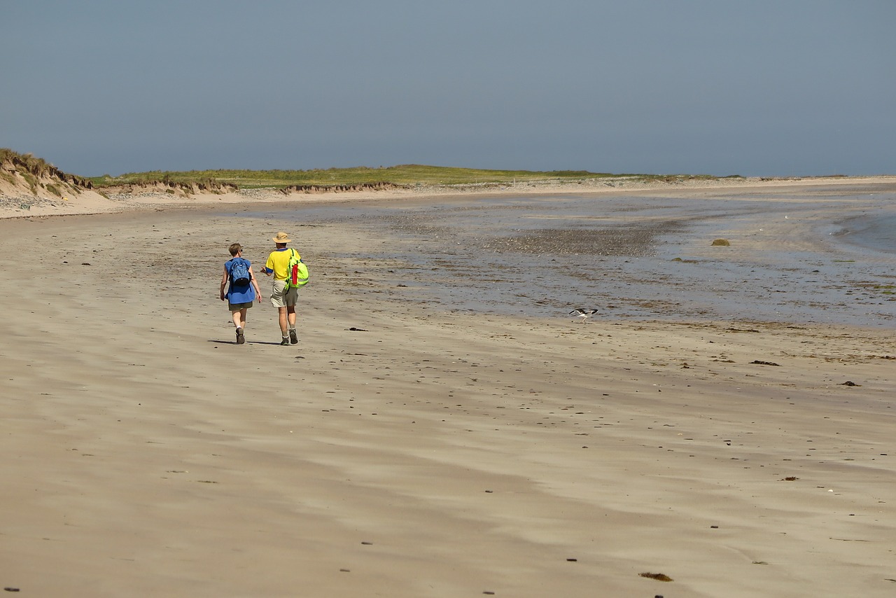 nature beach walk free photo