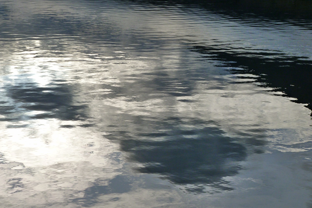 nature water reflections free photo