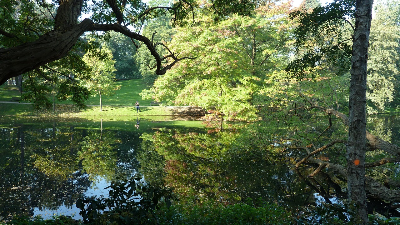 bremen citizens park nature free photo