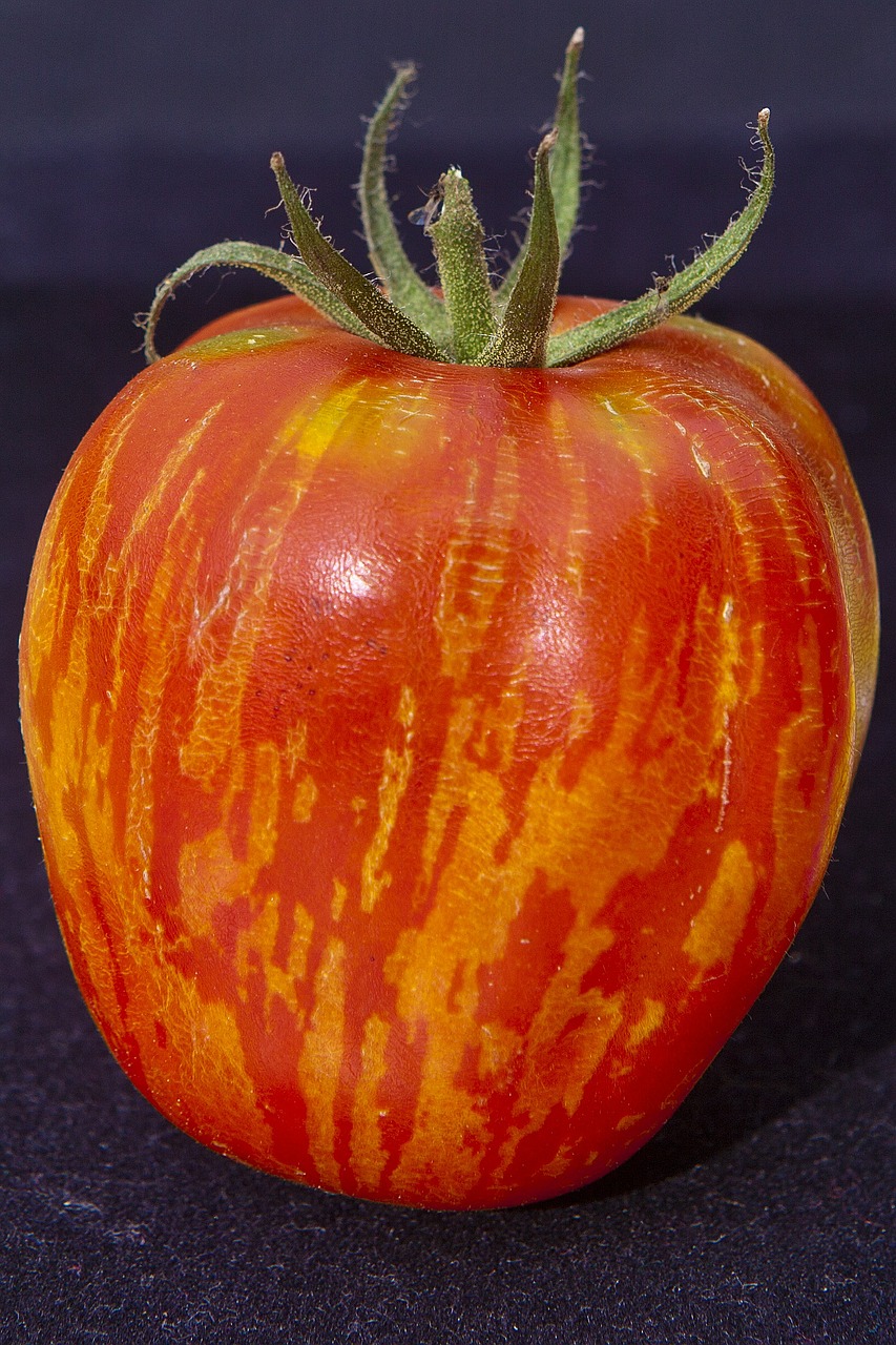 nature tomato vegetables free photo