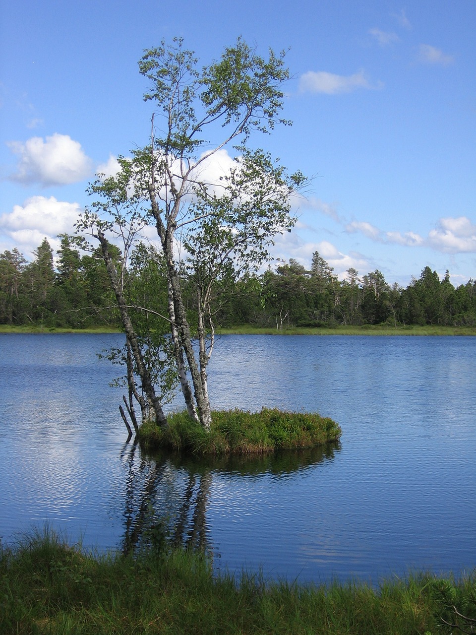 nature island lake free photo