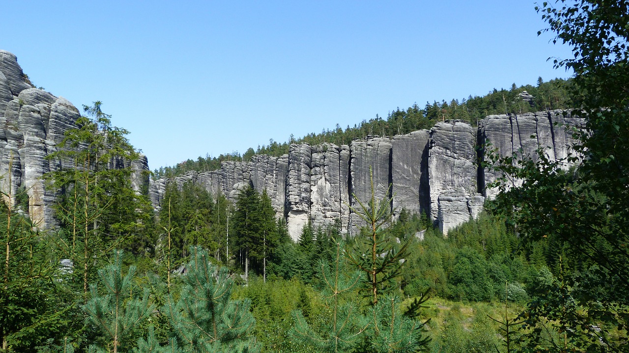 nature rocks forest free photo