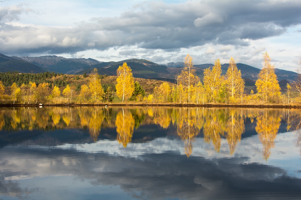 nature autumn water free photo