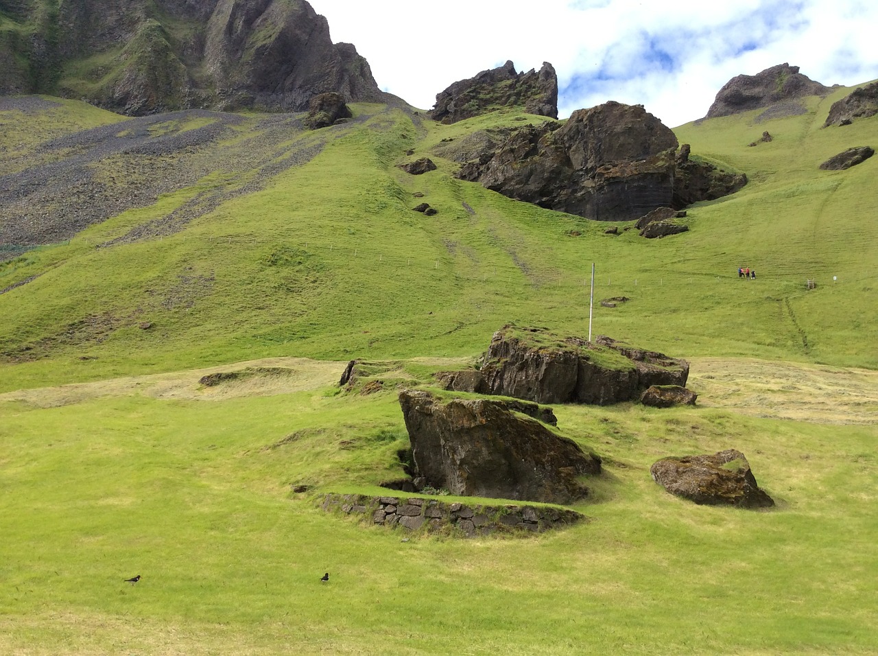 nature grass rock free photo