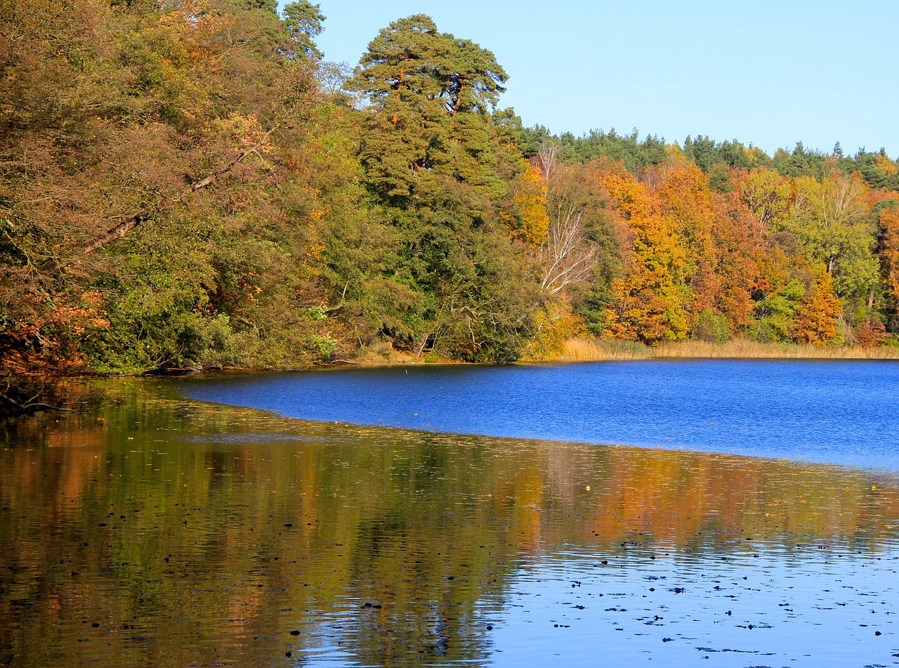 nature time of year autumn free photo