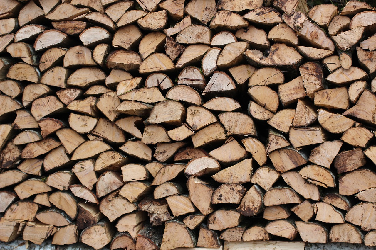 nature firewood wood free photo