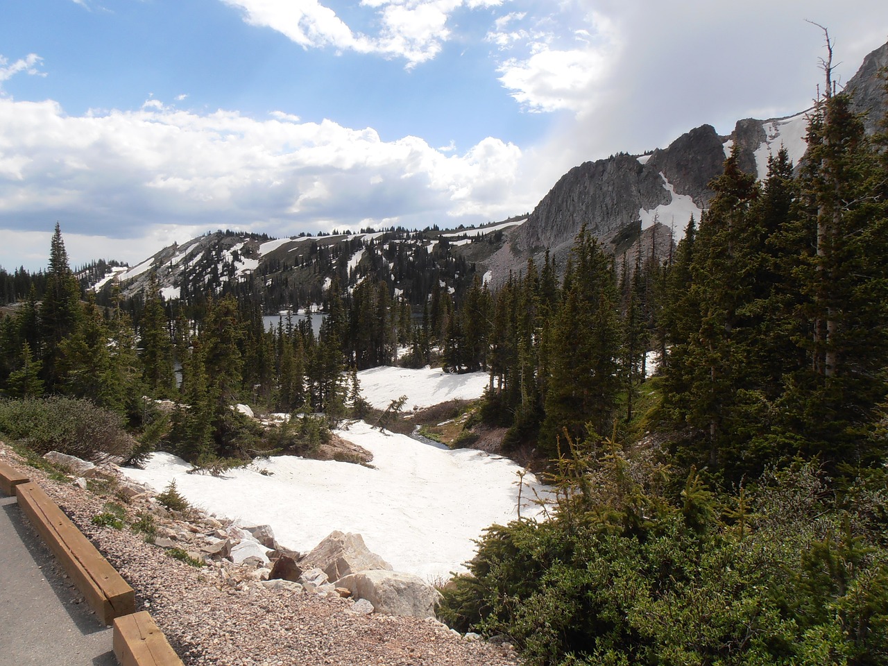 nature snow forest free photo