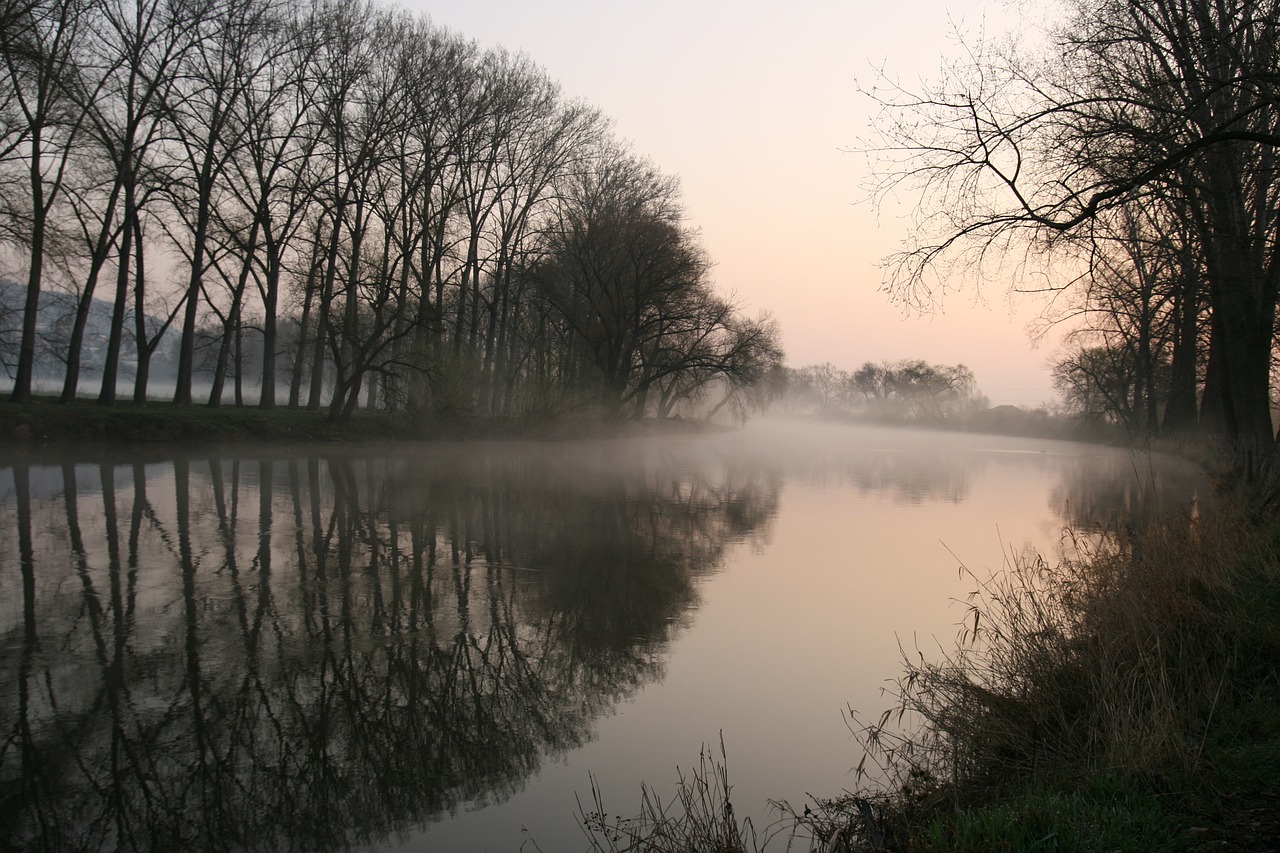 nature river morning free photo