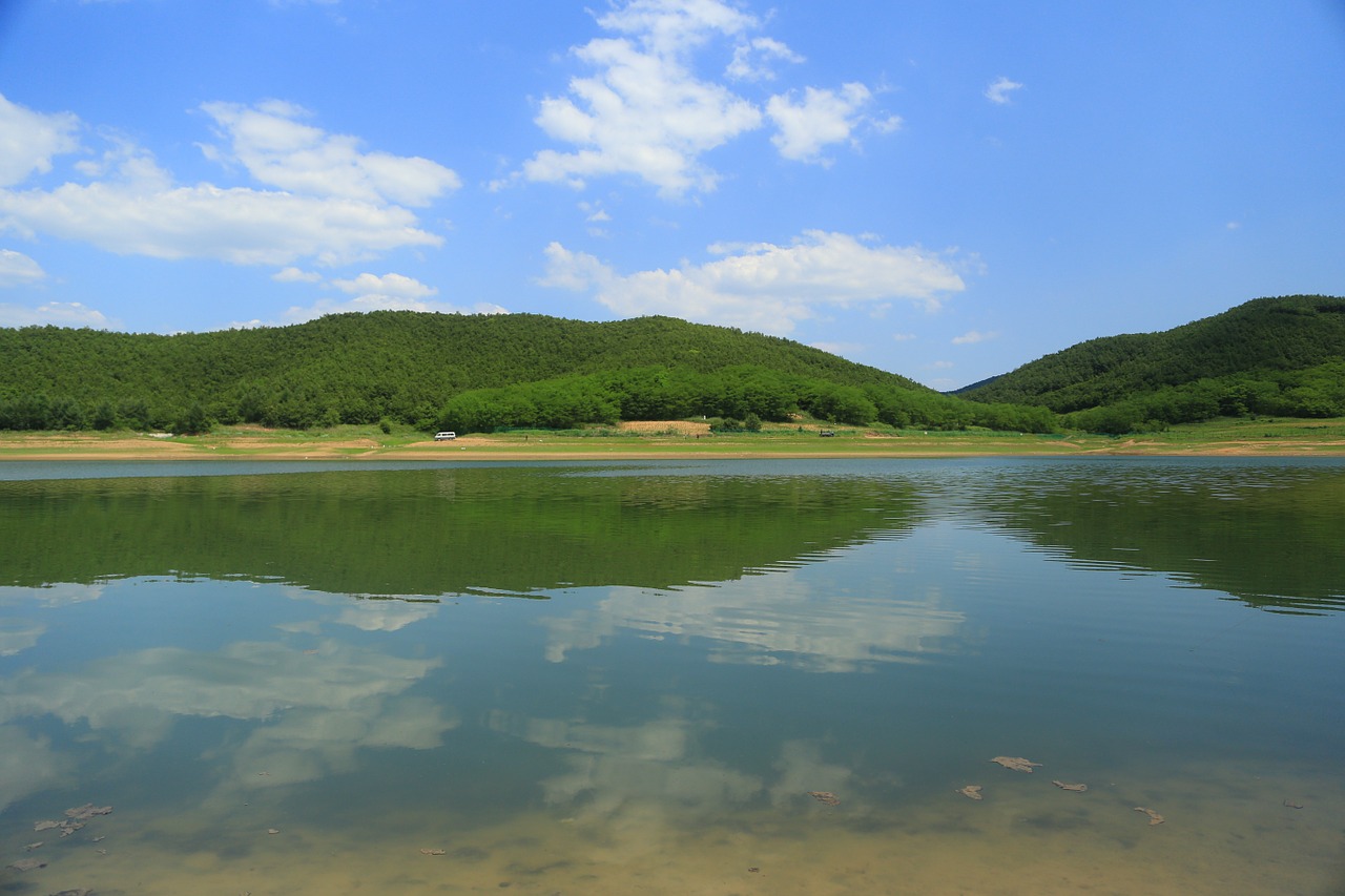 nature outdoor summer free photo