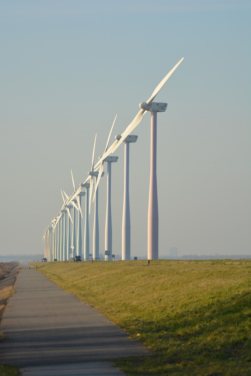 nature windmills netherlands free photo