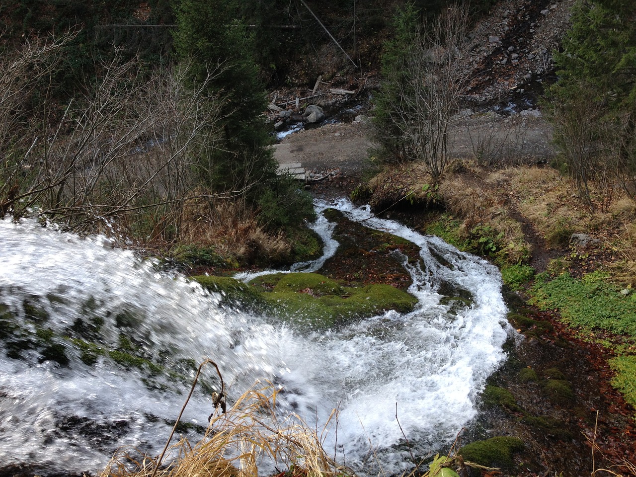 nature river transylvania free photo