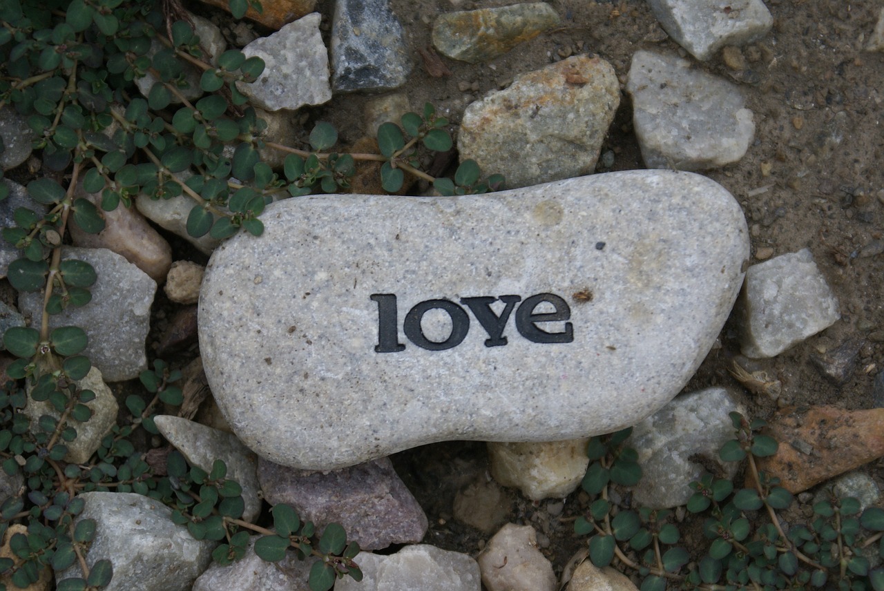 nature rock love free photo