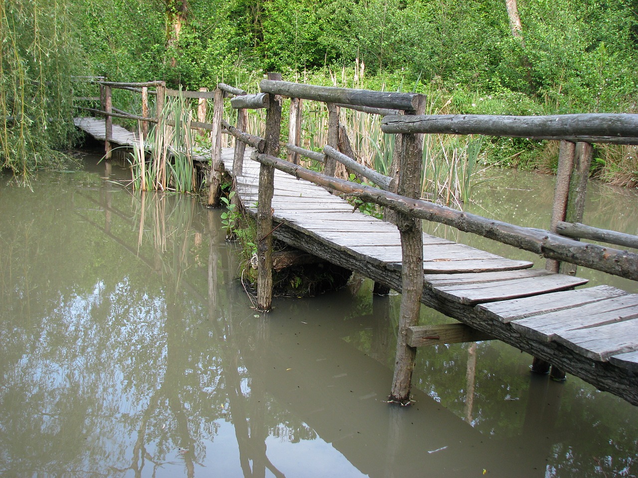 nature wooden bridge landscape free photo