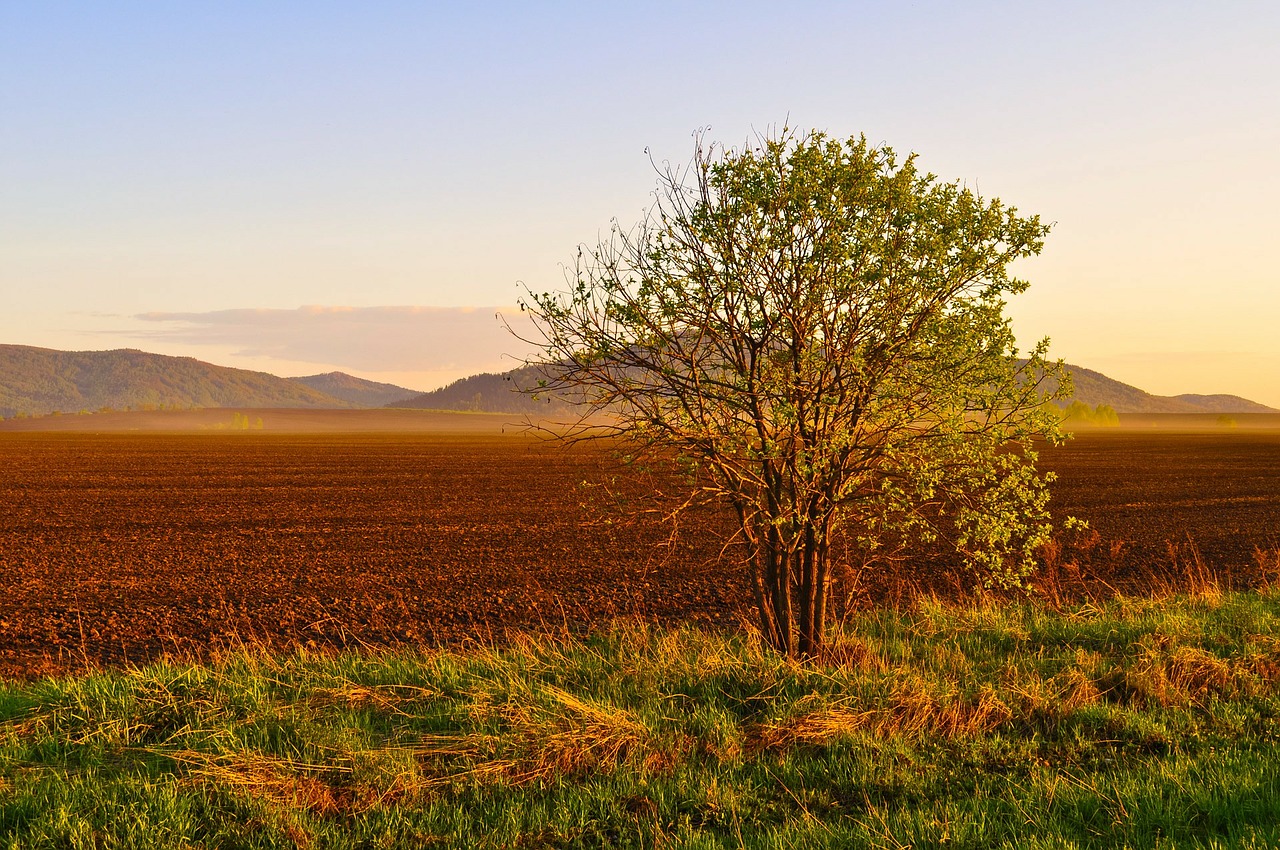 nature landscape road free photo