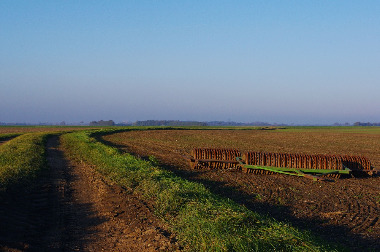 nature field autumn free photo