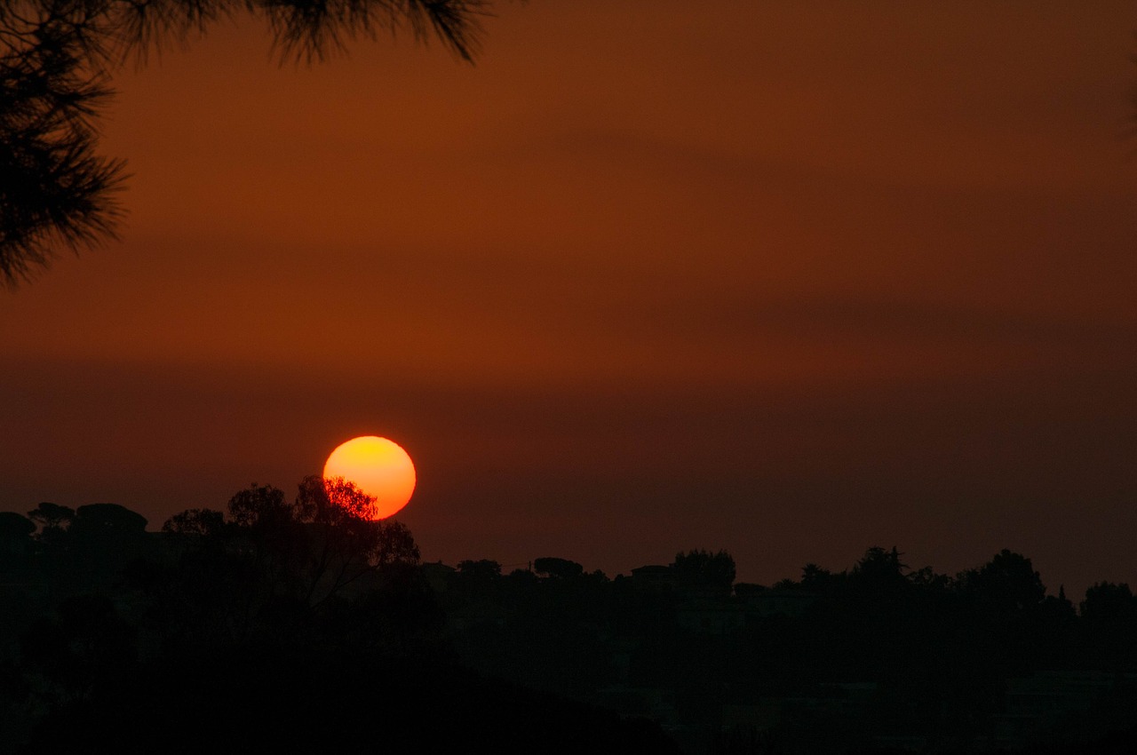 nature sunrise morning free photo