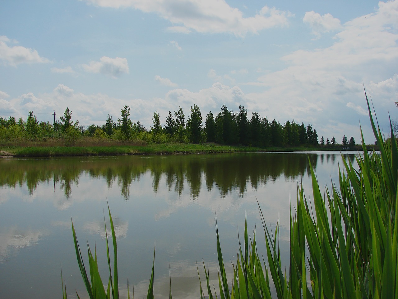 nature landscape water free photo