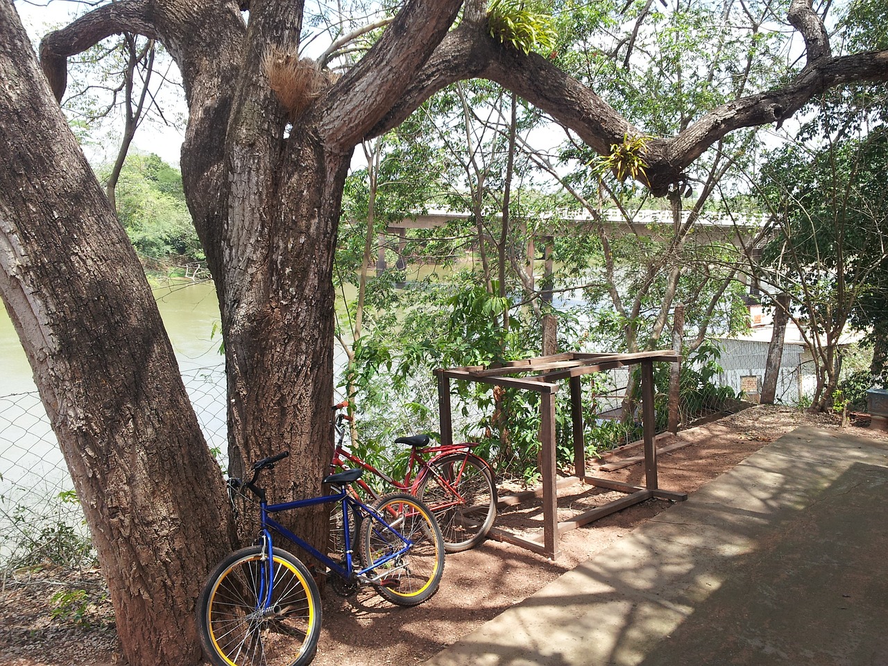 nature rio bike free photo