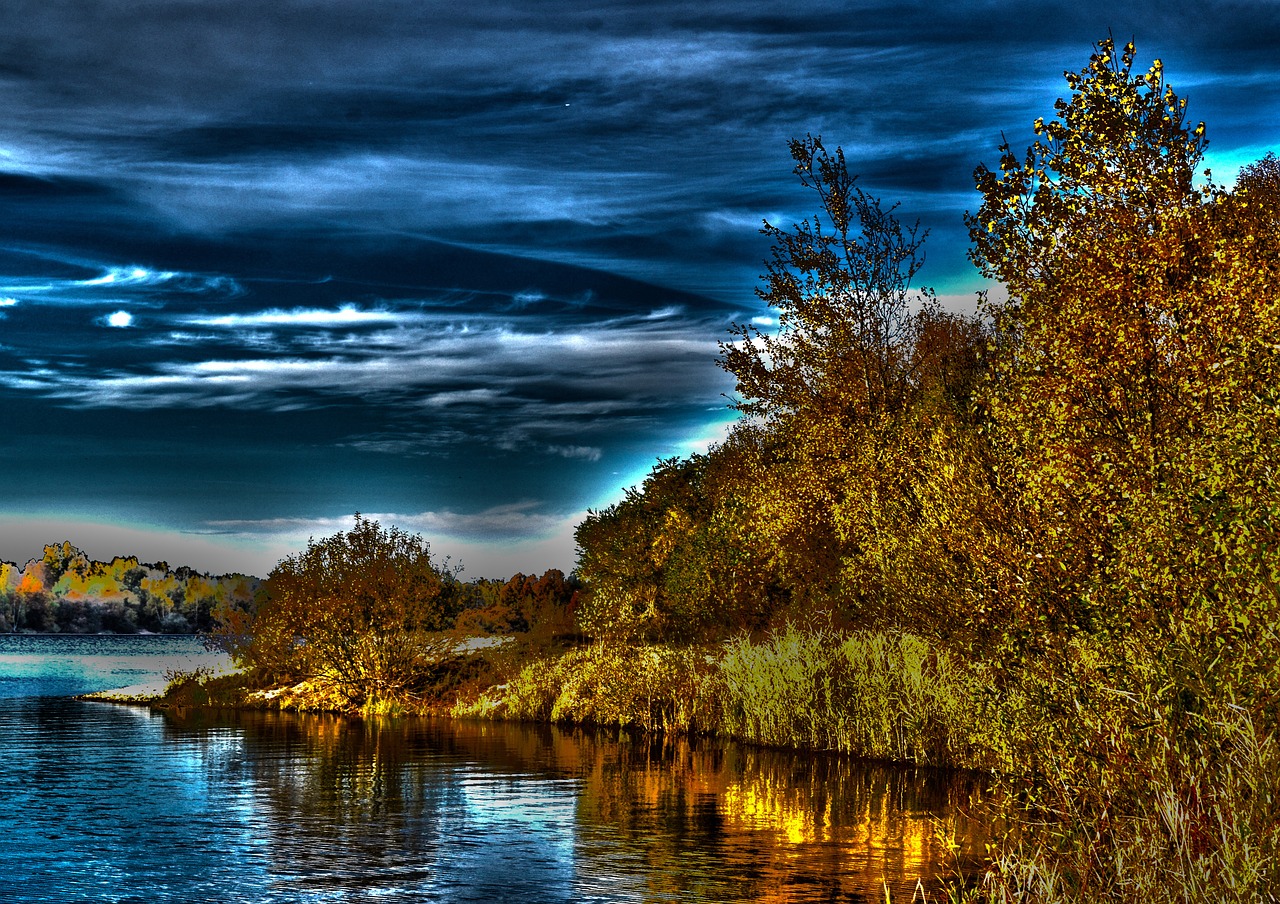 nature pond water free photo