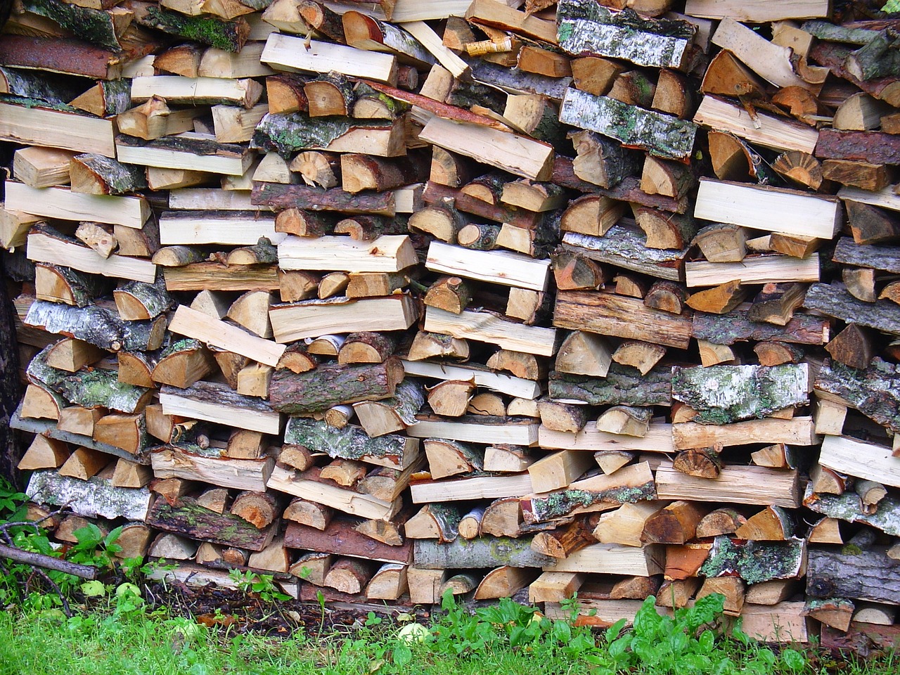 nature wood pile of wood free photo