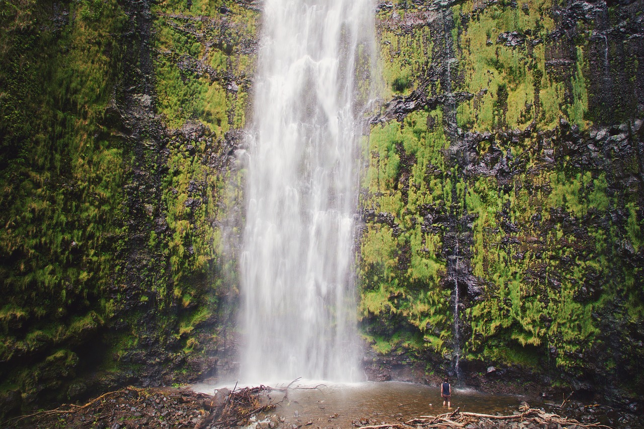 nature waterfall water free photo