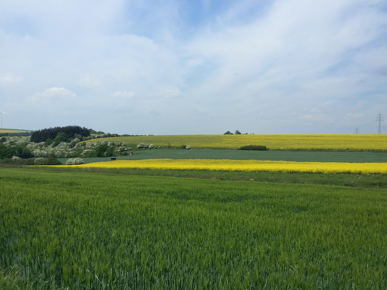 nature eifel dream path free photo