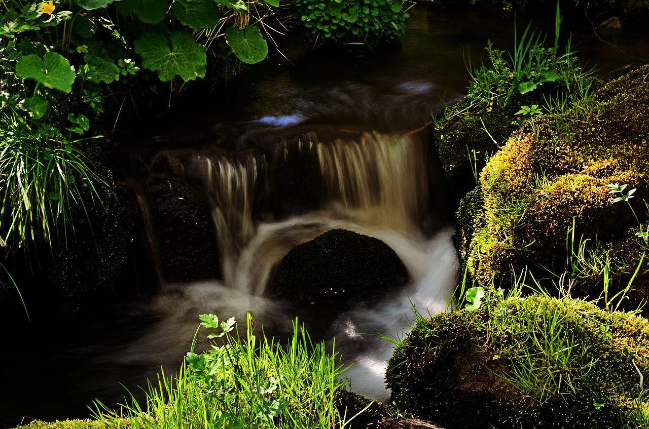 nature river water free photo