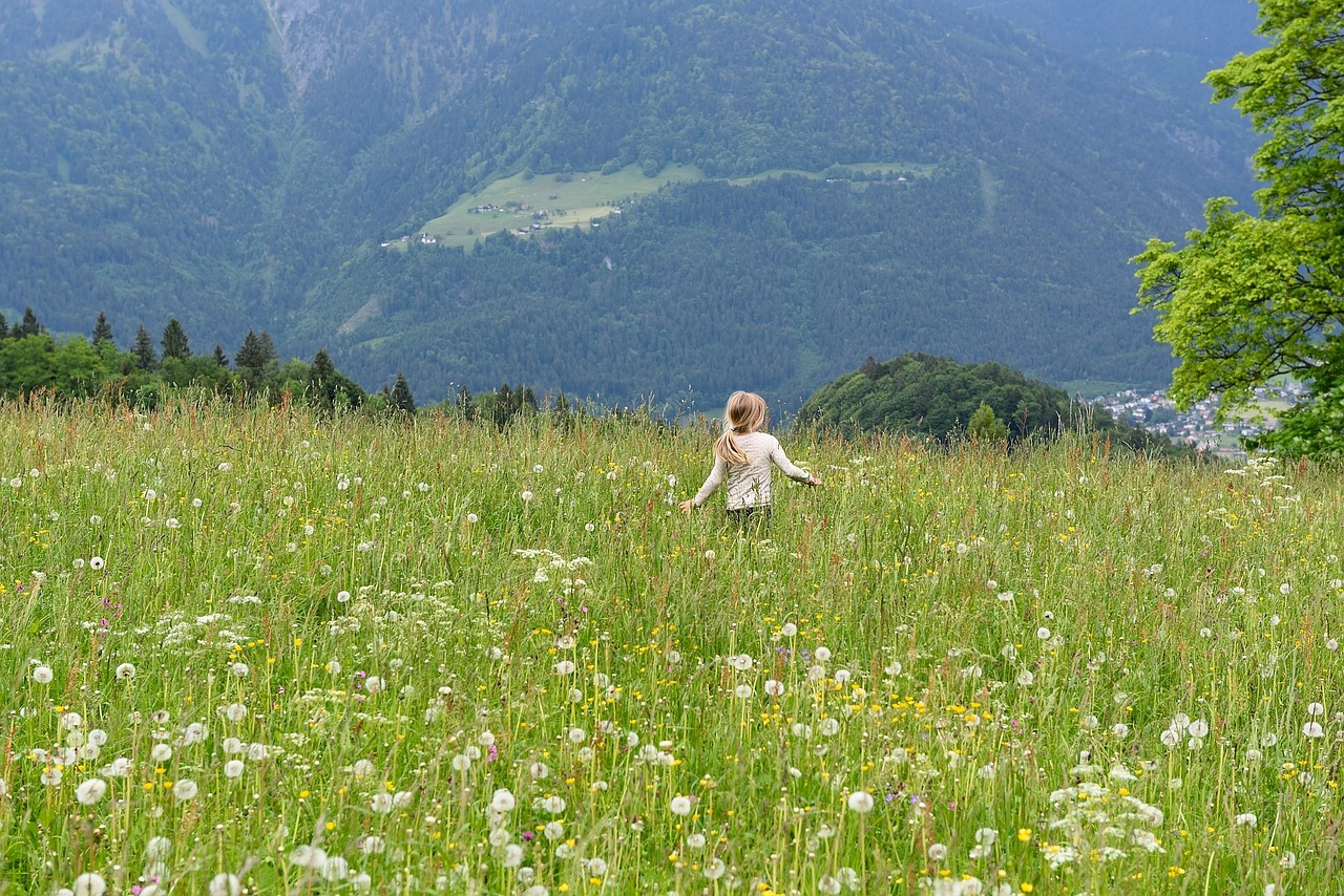 nature landscape meadow free photo