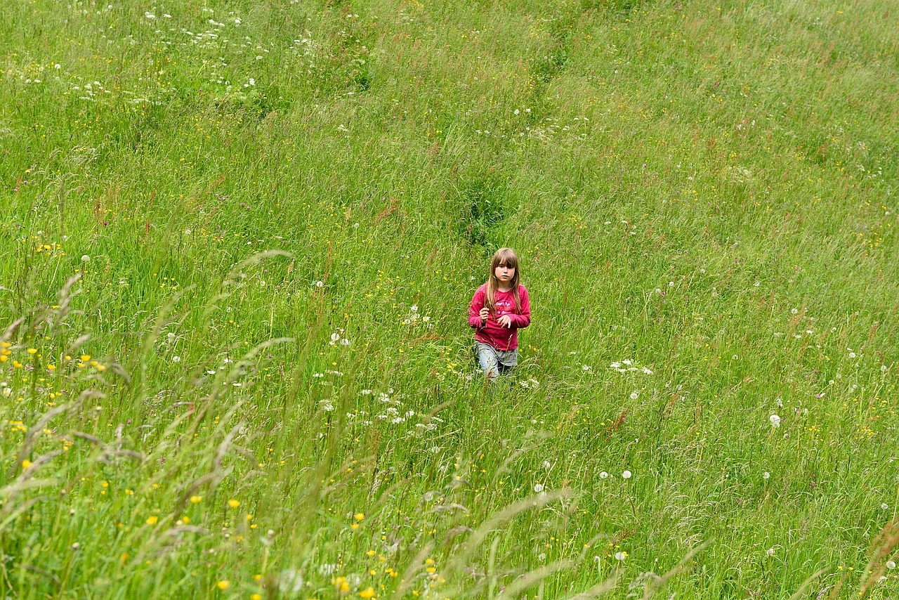 nature meadow grass free photo