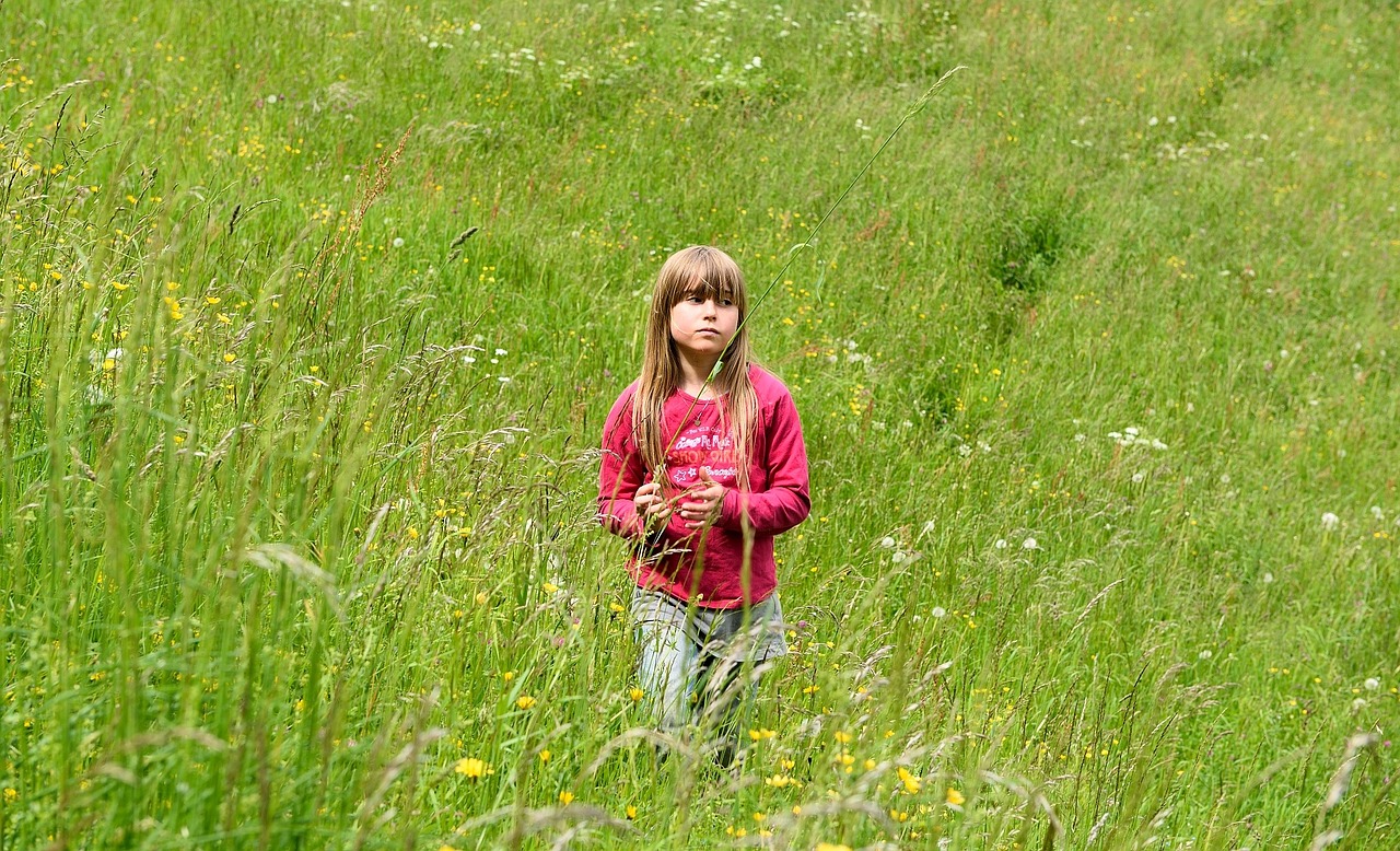 nature meadow grass free photo