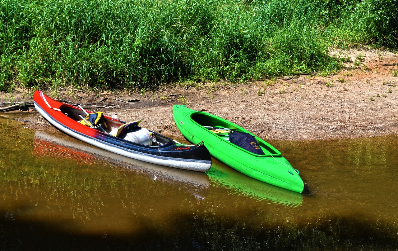 nature water river free photo