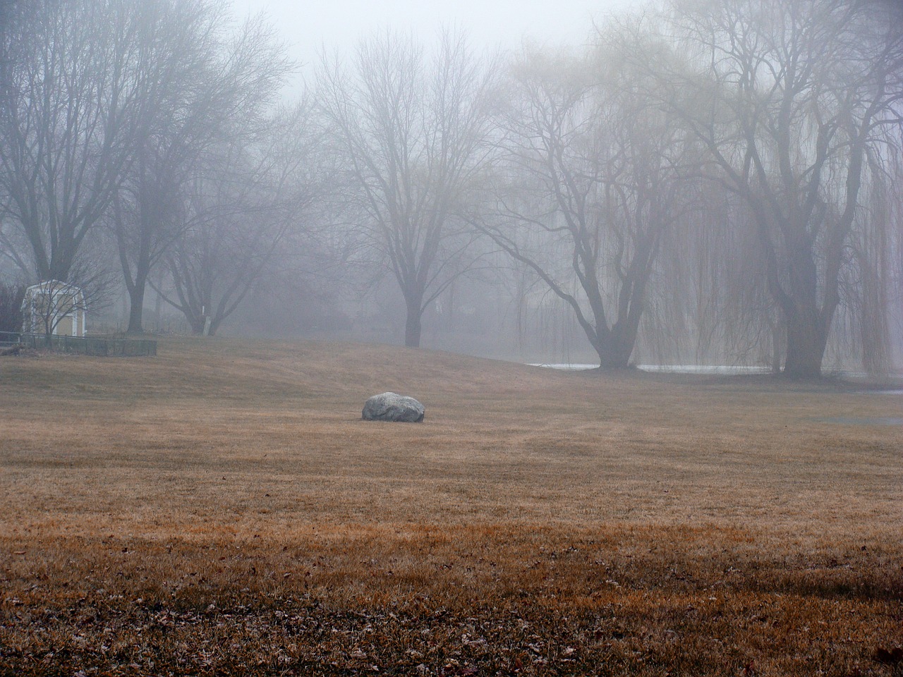 nature landscape scenic free photo