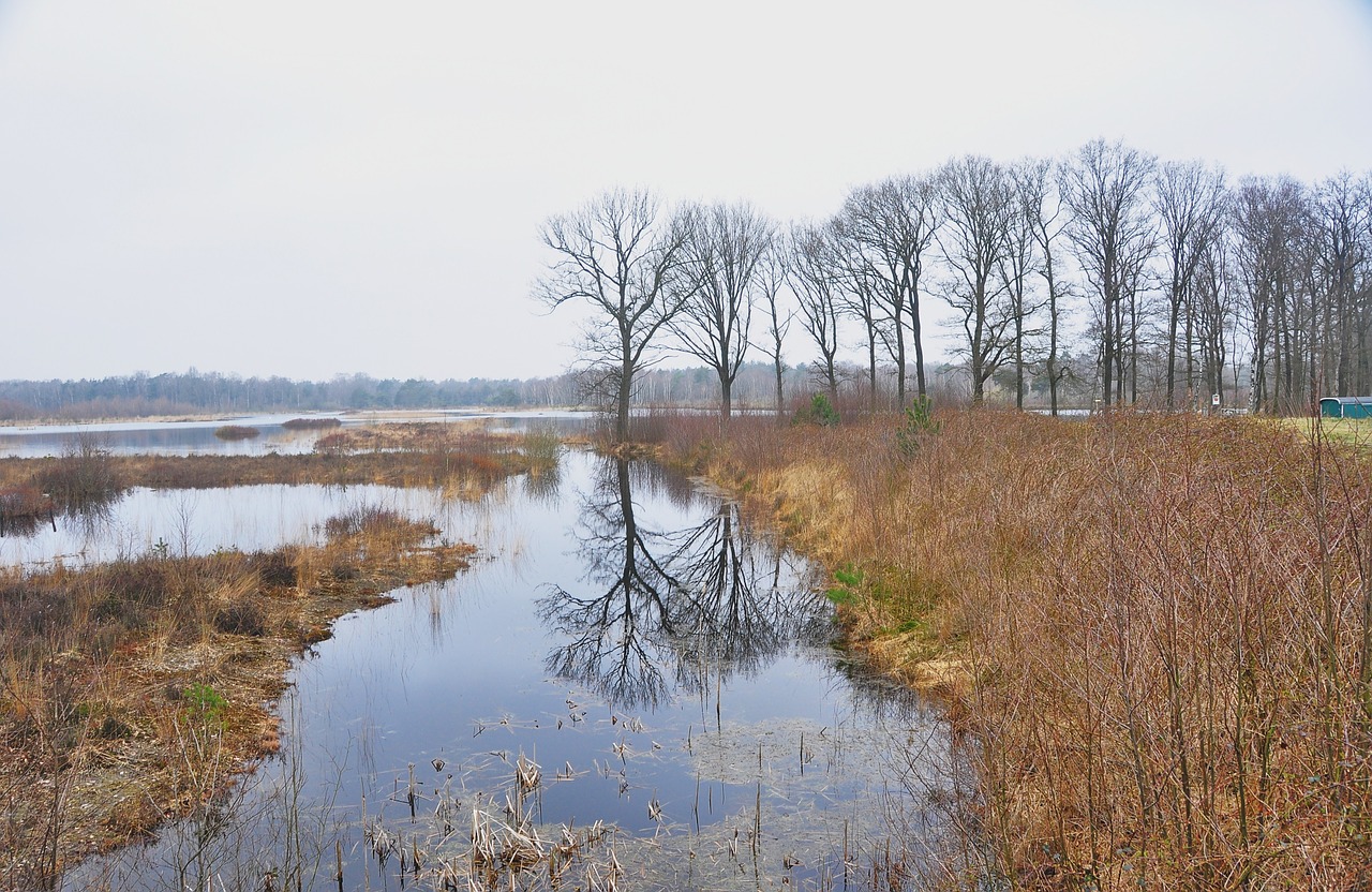 nature water beauty free photo