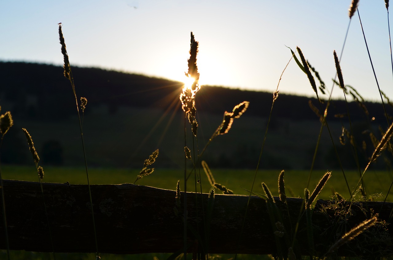 nature landscape sun free photo