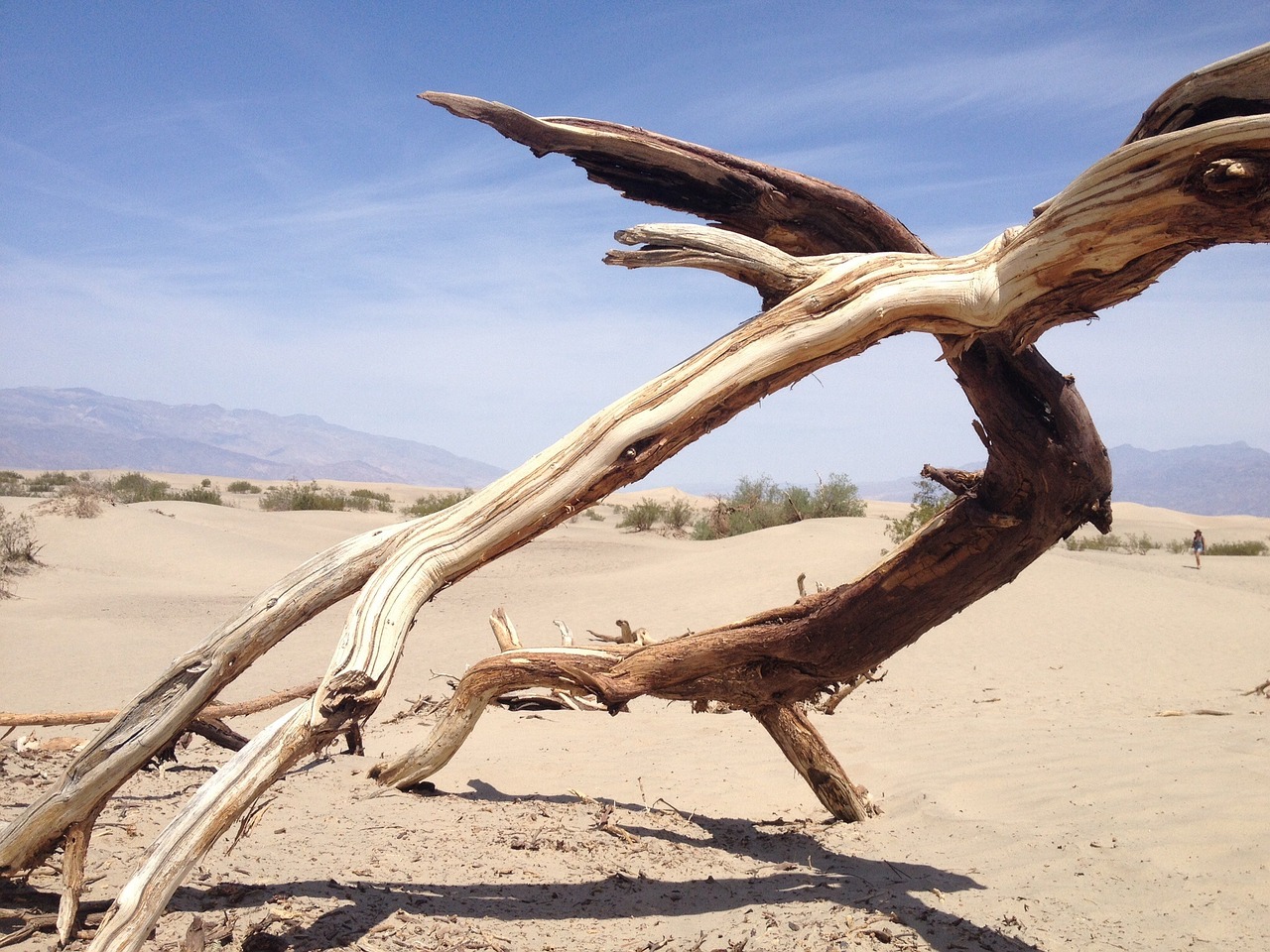 nature desert sand free photo