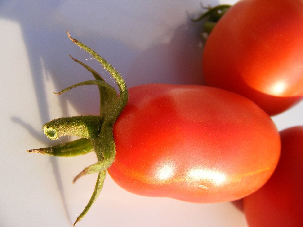 nature fruits vegetables free photo