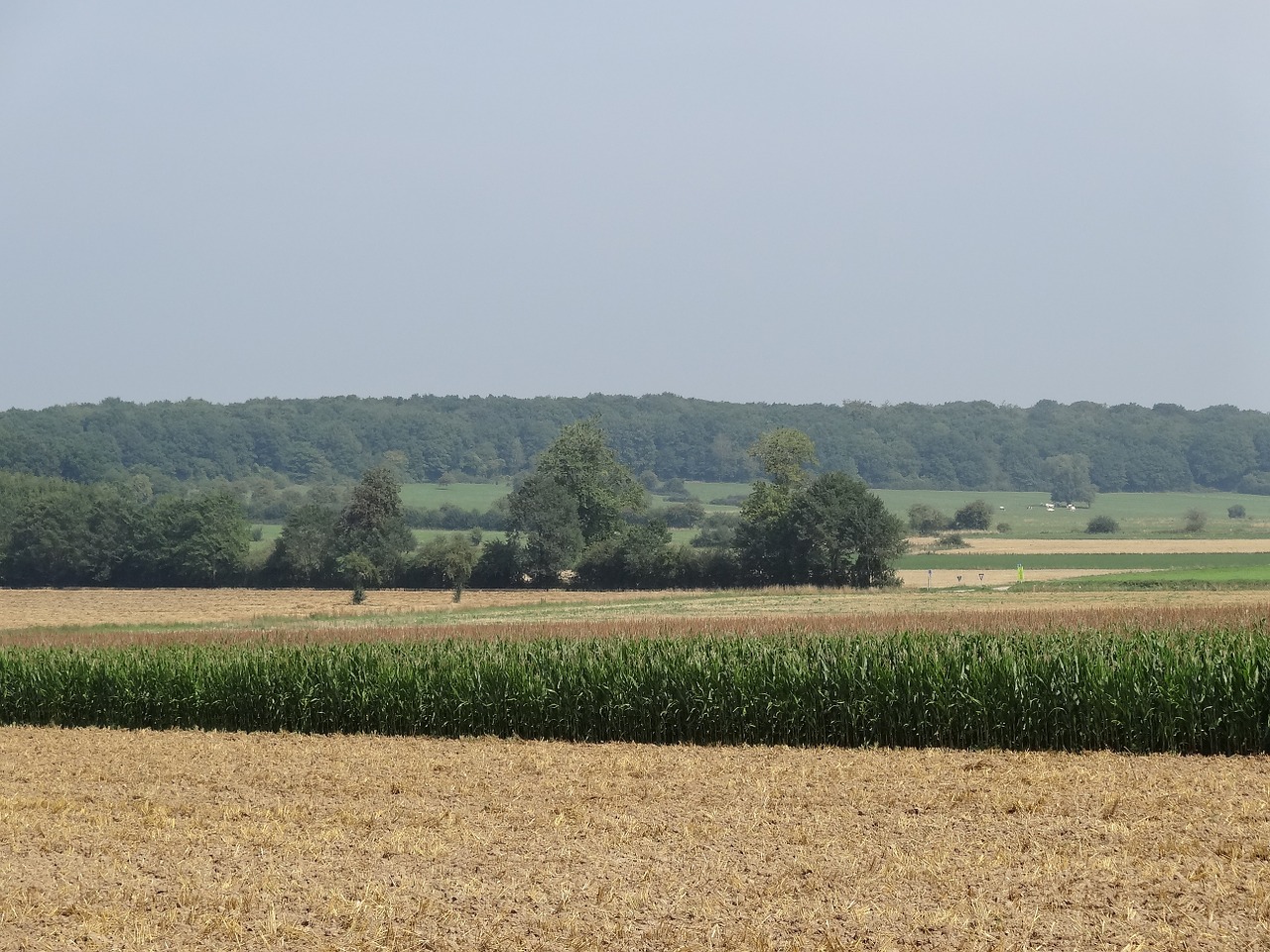 nature landscape belgium free photo