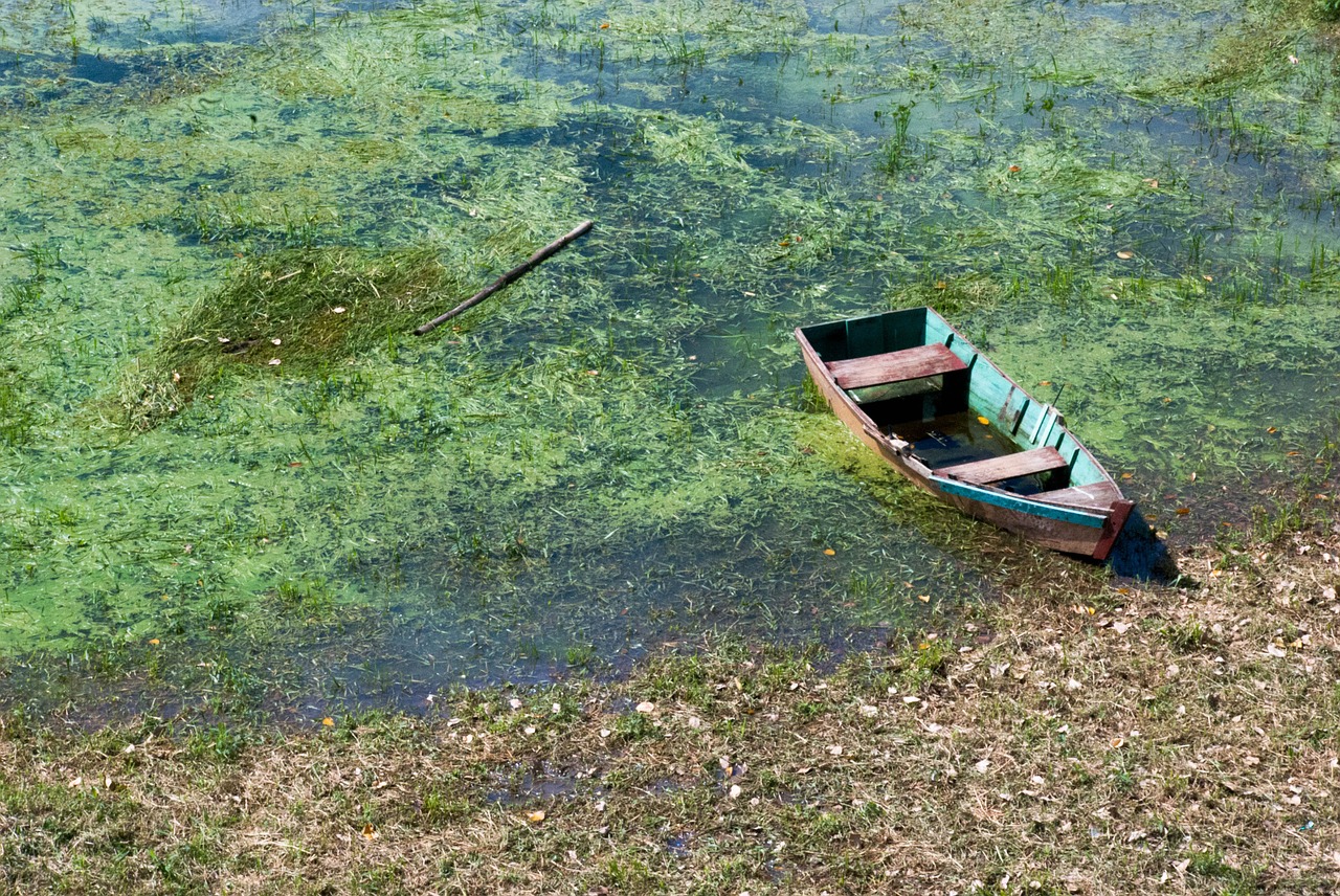 nature boat water free photo