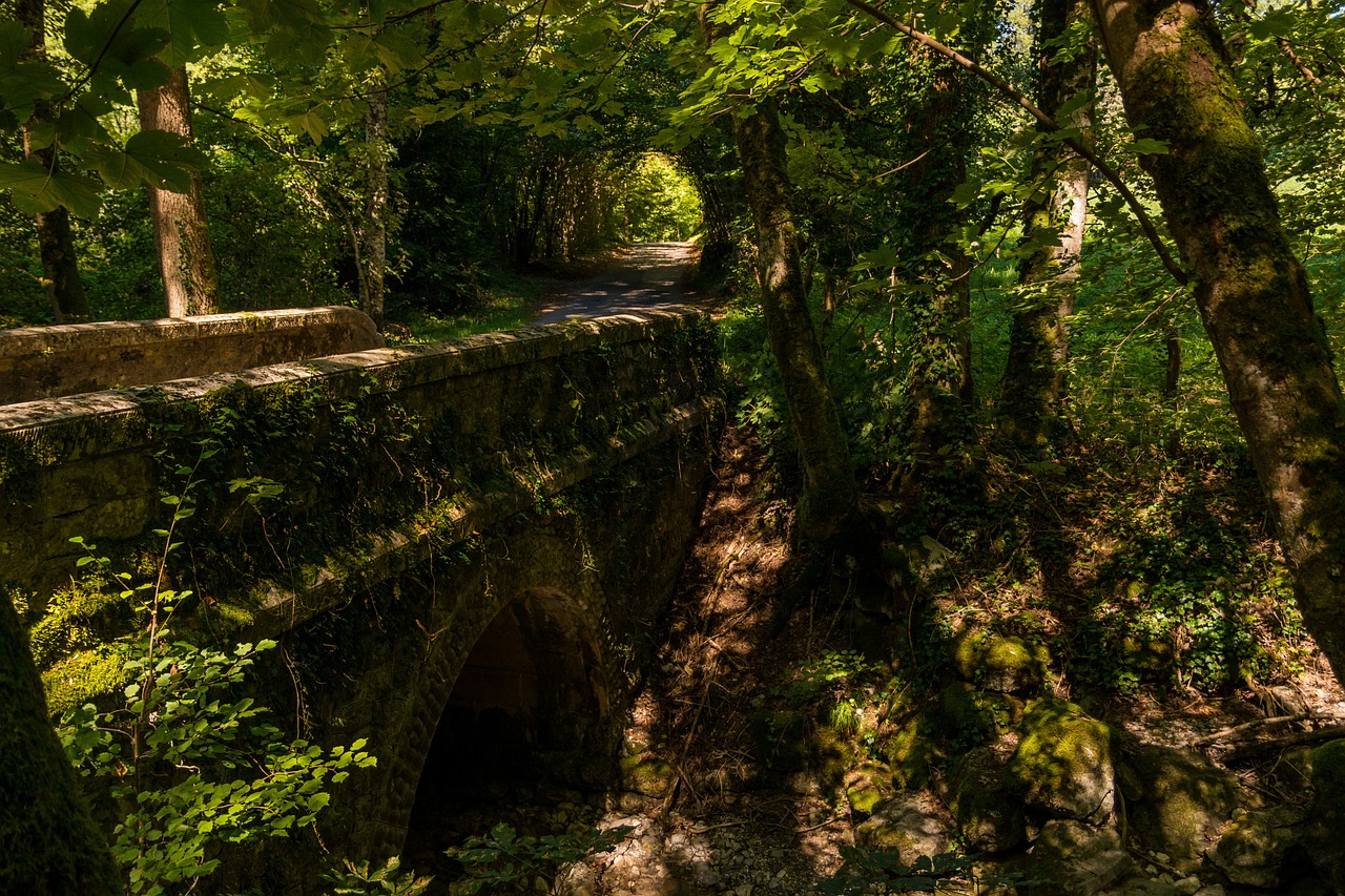 landscape bridge forest free photo