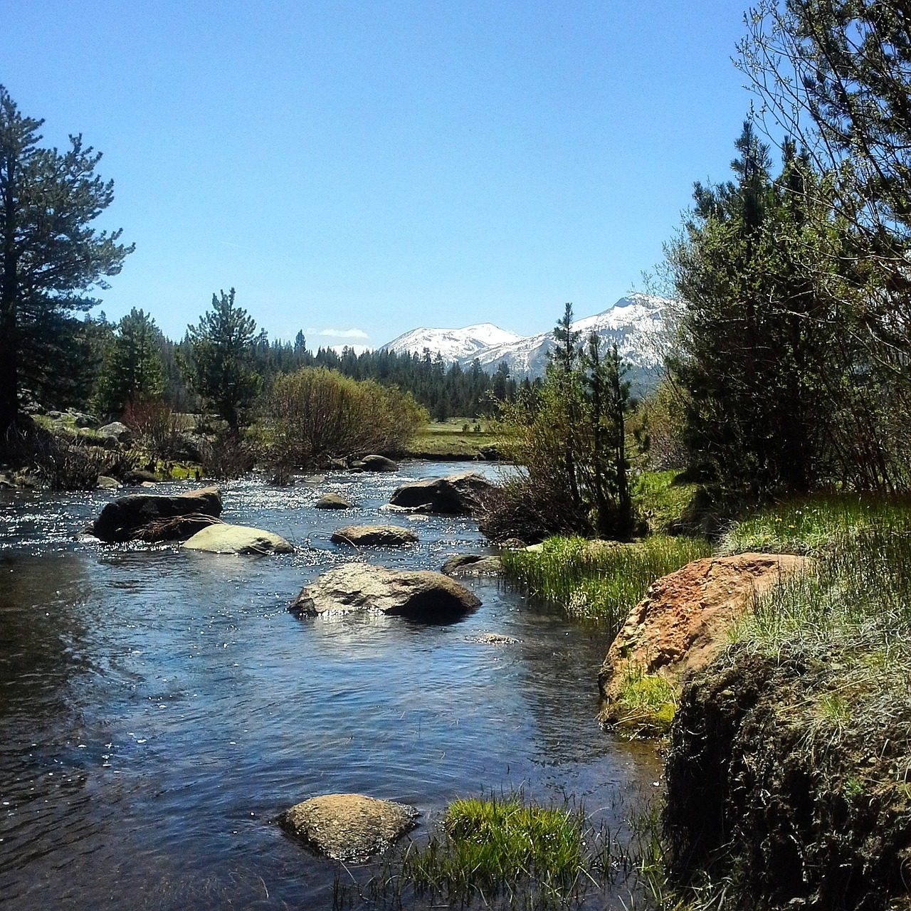 river nature stream free photo