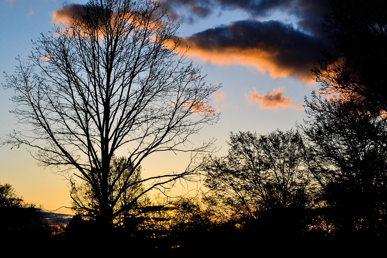 nature sunset sunrise free photo