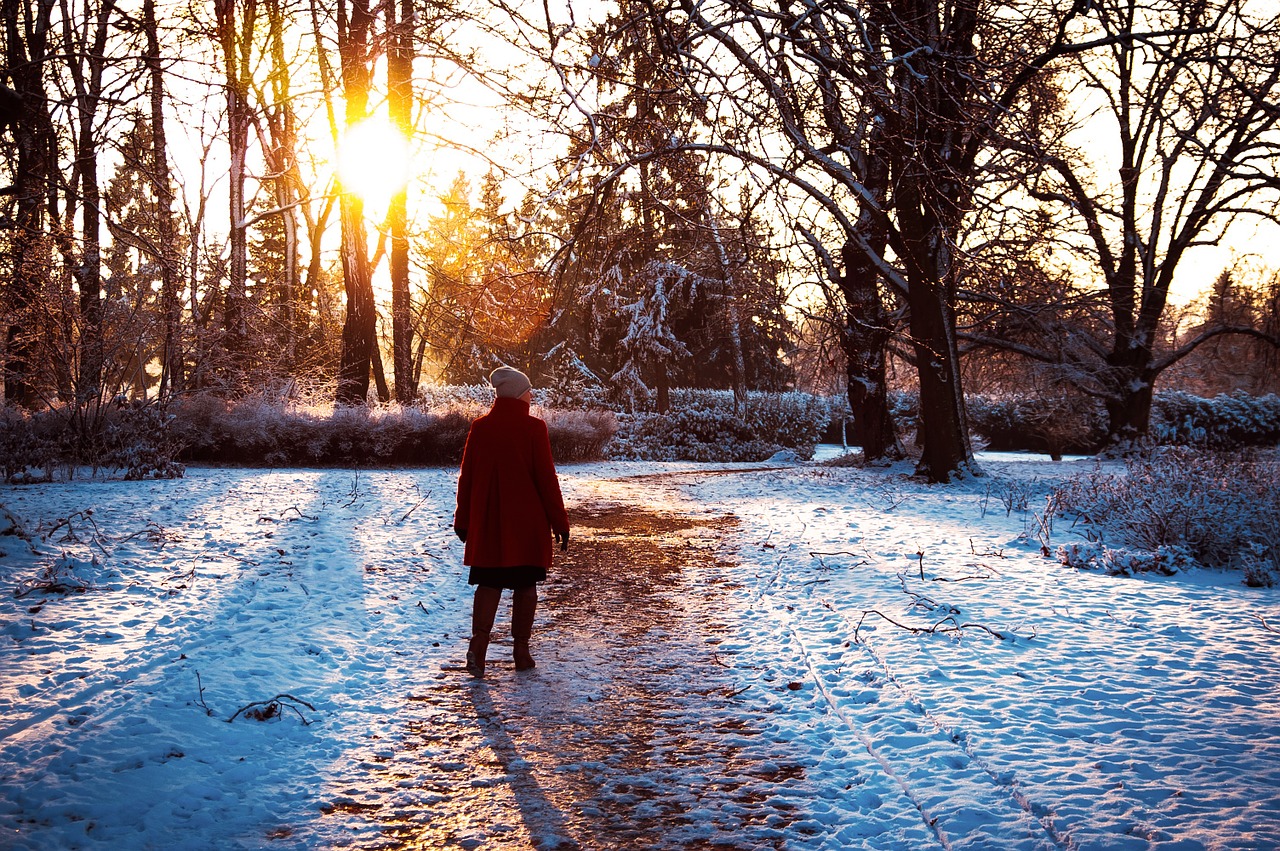 nature walk snow free photo