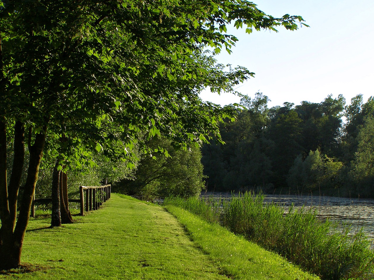 nature water river free photo