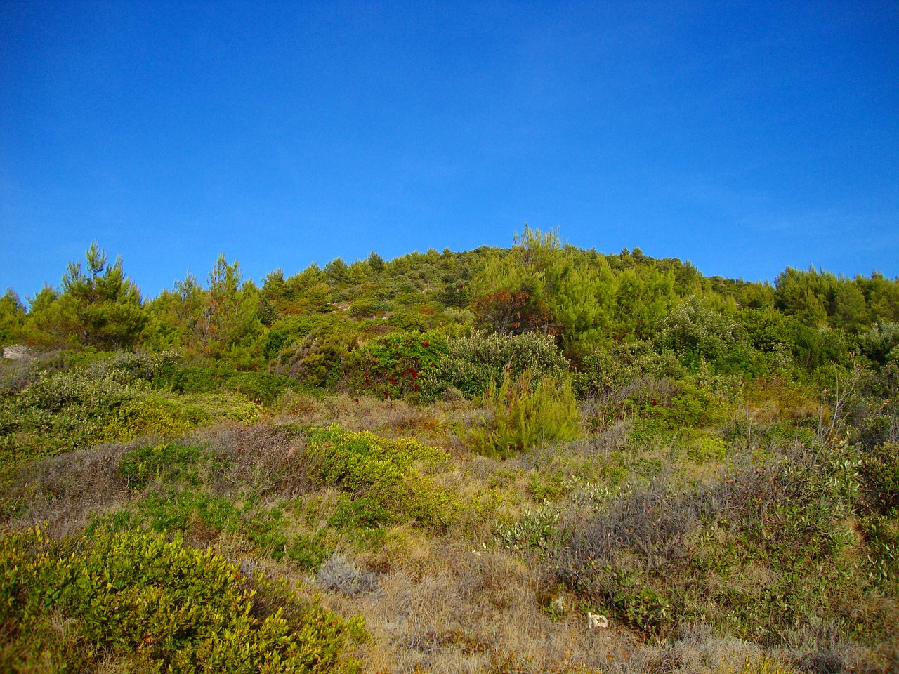 nature sky blue sky free photo