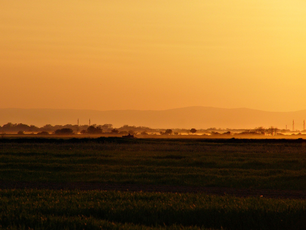 nature sunset field free photo