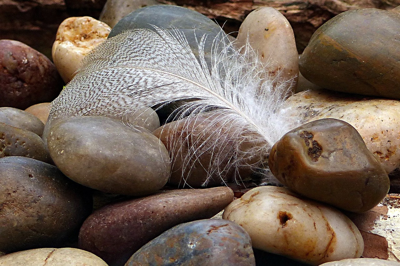 nature cairn feather free photo